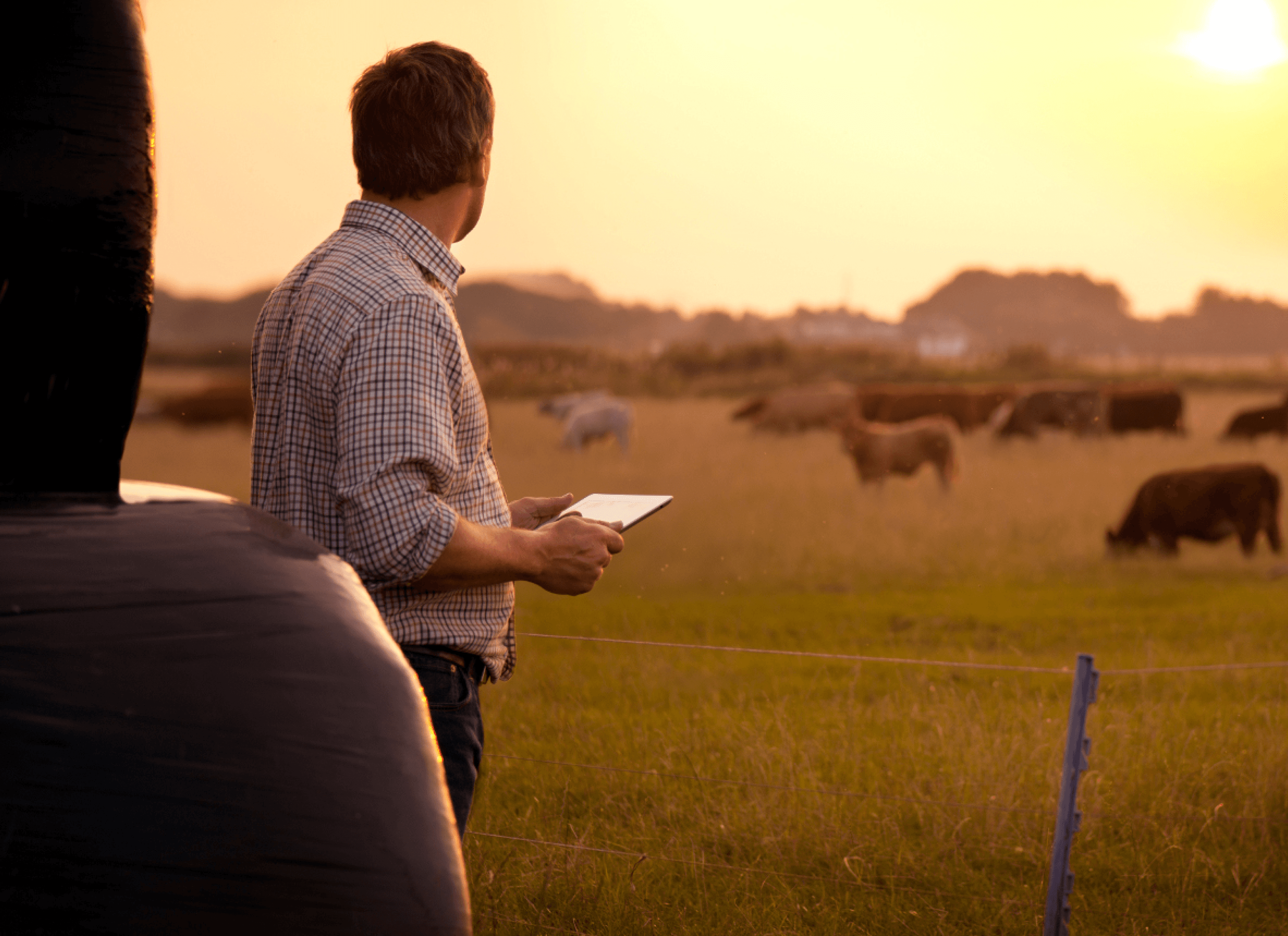 ExploreApp - illustration principale header ExploreApp - illustration principale header