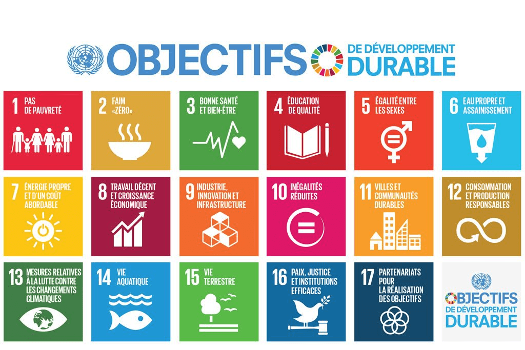 Image - Article RSE - Les Objectifs de Développement Durable de l’ONU. Image - Article RSE - Les Objectifs de Développement Durable de l’ONU.