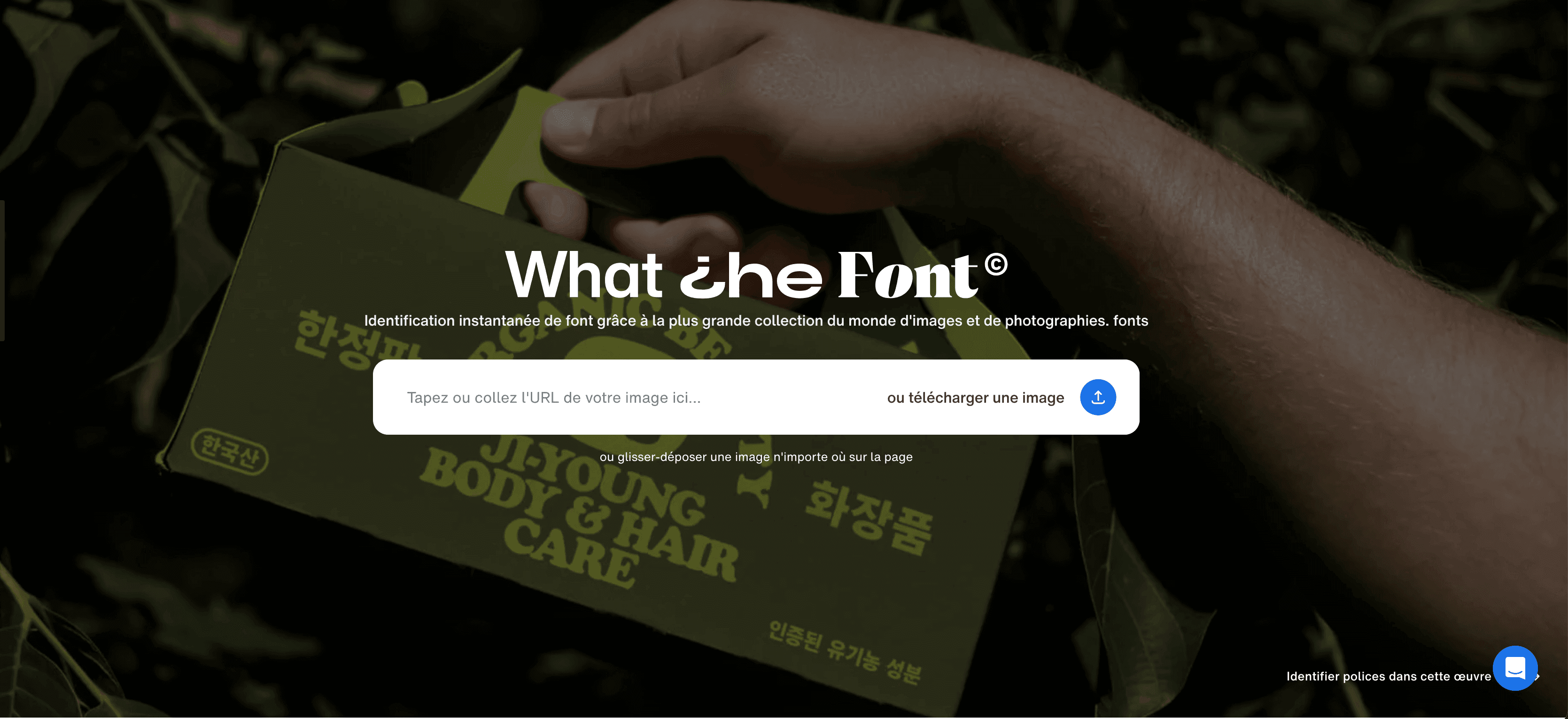 WhatTheFont  WhatTheFont