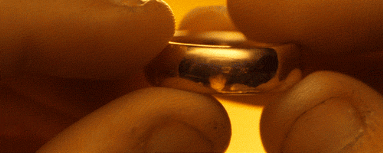 Ring - Lord of the Rings and Gamification A method to engage them all