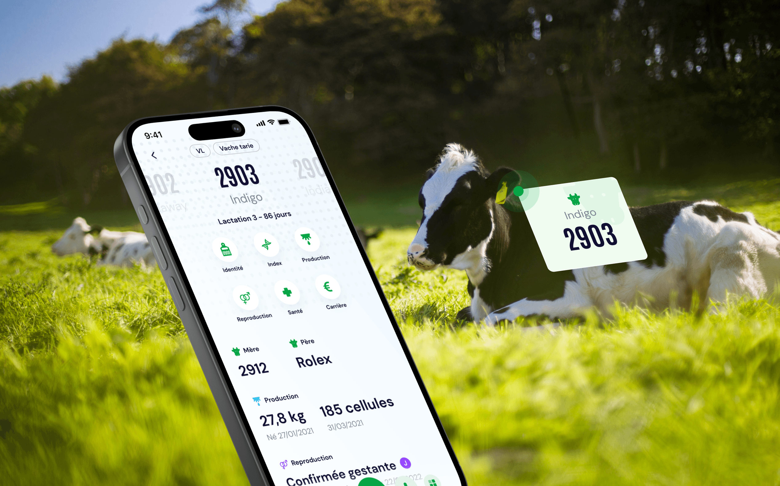 Agritech and livestock farming, digital tools in the field. Agritech for livestock farming combines herd management software, animal data and health monitoring for day-to-day use by farmers in the field.