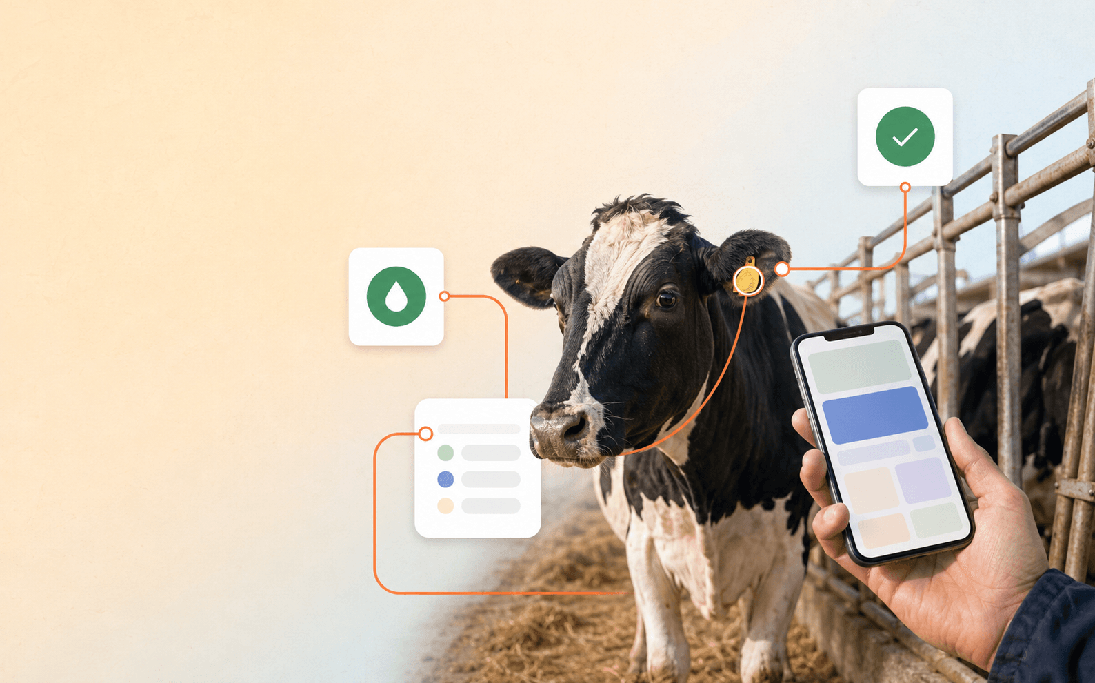 Agritech and livestock farming, digital tools in the field. Agritech for livestock farming combines herd management software, animal data and health monitoring for day-to-day use by farmers in the field.