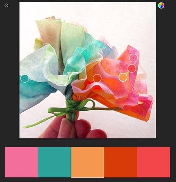 08 AdobeColor Adobe Color CC